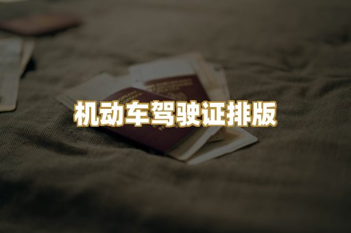 机动车驾驶证排版